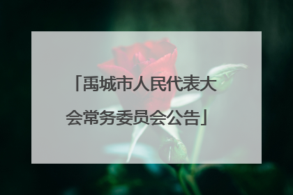 禹城市人民代表大会常务委员会公告