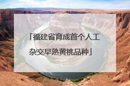 福建省育成首个人工杂交早熟黄桃品种