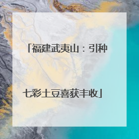 福建武夷山：引种七彩土豆喜获丰收