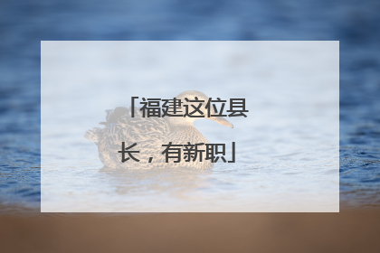 福建这位县长，有新职