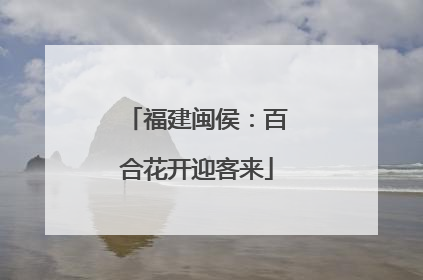 福建闽侯：百合花开迎客来