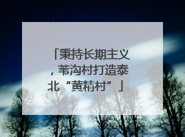 秉持长期主义，苇沟村打造泰北“黄精村”