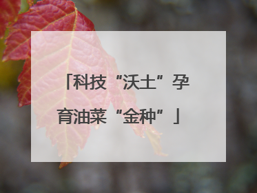 科技“沃土”孕育油菜“金种”