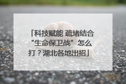 科技赋能 疏堵结合 “生命保卫战”怎么打？湖北各地出招