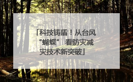 科技铸盾！从台风“蝴蝶” 看防灾减灾技术新突破