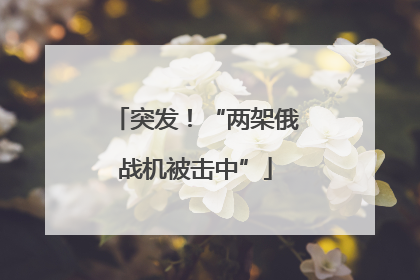 突发！“两架俄战机被击中”