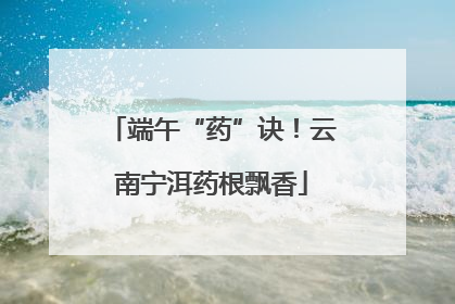端午“药”诀！云南宁洱药根飘香