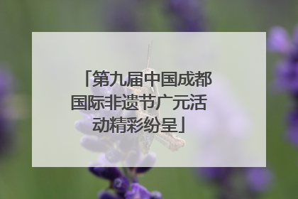第九届中国成都国际非遗节广元活动精彩纷呈
