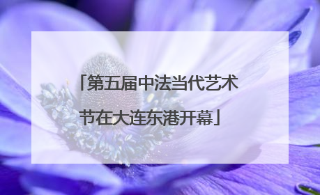 第五届中法当代艺术节在大连东港开幕