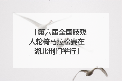 第六届全国肢残人轮椅马拉松赛在湖北荆门举行