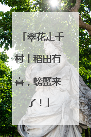 翠花走千村丨稻田有喜，螃蟹来了！