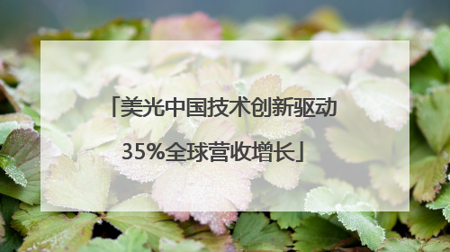 美光中国技术创新驱动35%全球营收增长