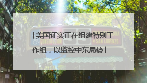 美国证实正在组建特别工作组，以监控中东局势