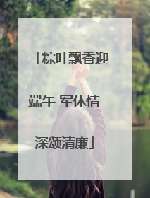 粽叶飘香迎端午 军休情深颂清廉