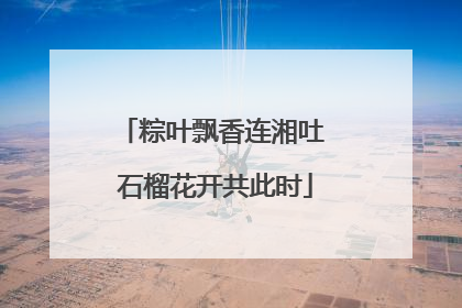 粽叶飘香连湘吐 石榴花开共此时