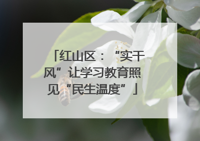 红山区：“实干风”让学习教育照见“民生温度”