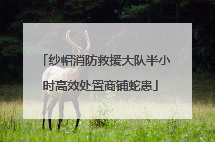纱帽消防救援大队半小时高效处置商铺蛇患