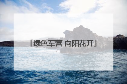 绿色军营 向阳花开