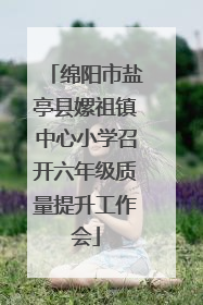 绵阳市盐亭县嫘祖镇中心小学召开六年级质量提升工作会