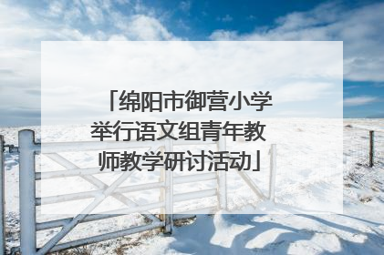 绵阳市御营小学举行语文组青年教师教学研讨活动