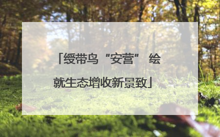 绶带鸟“安营” 绘就生态增收新景致