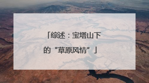 综述：宝塔山下的“草原风情”
