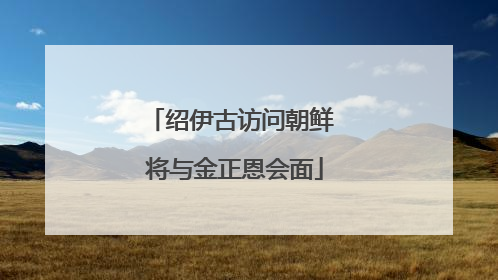 绍伊古访问朝鲜 将与金正恩会面