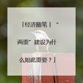 经济随笔丨“两重”建设为什么如此重要？
