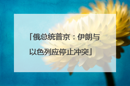 俄总统普京：伊朗与以色列应停止冲突