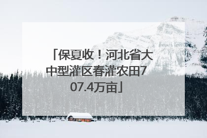 保夏收！河北省大中型灌区春灌农田707.4万亩