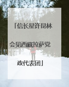 信长星许昆林会见西藏拉萨党政代表团