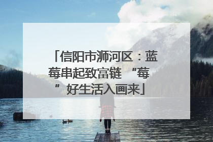 信阳市浉河区：蓝莓串起致富链 “莓”好生活入画来