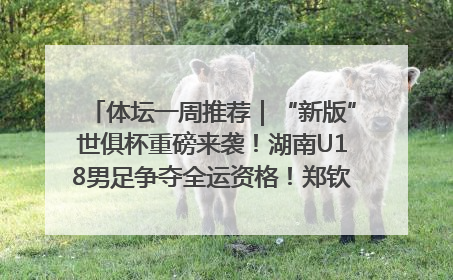 体坛一周推荐｜“新版”世俱杯重磅来袭！湖南U18男足争夺全运资格！郑钦文“草地”很忙……