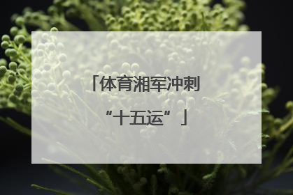 体育湘军冲刺“十五运”