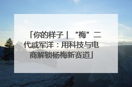 你的样子｜“梅”二代戚军洋：用科技与电商解锁杨梅新赛道