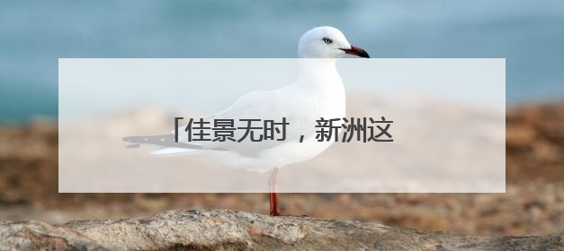 佳景无时，新洲这片山水随时出片