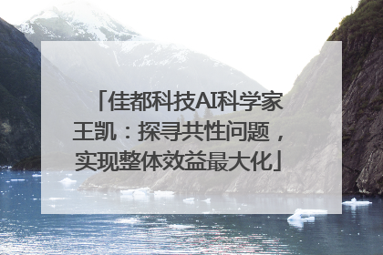 佳都科技AI科学家王凯：探寻共性问题，实现整体效益最大化