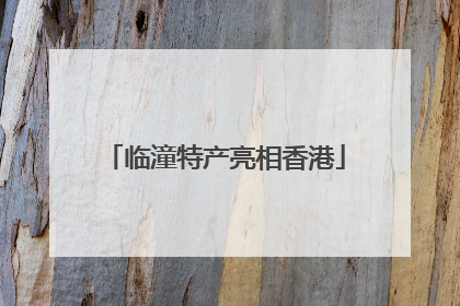 临潼特产亮相香港