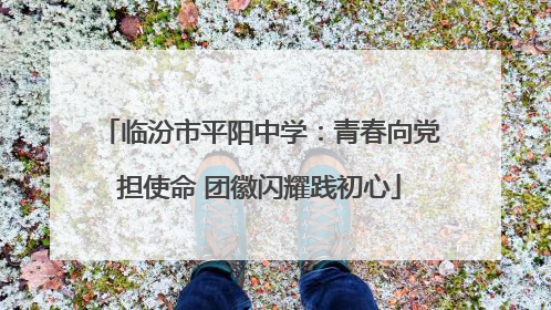 临汾市平阳中学：青春向党担使命 团徽闪耀践初心