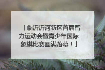 临沂沂河新区首届智力运动会暨青少年国际象棋比赛圆满落幕！