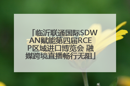 临沂联通国际SDWAN赋能第四届RCEP区域进口博览会 融媒跨境直播畅行无阻