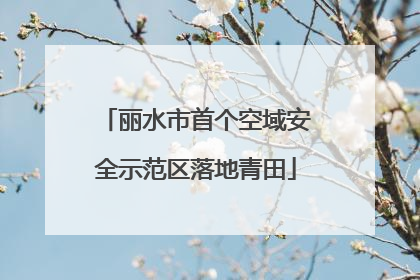丽水市首个空域安全示范区落地青田