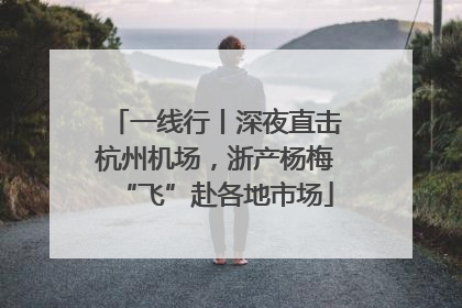 一线行丨深夜直击杭州机场，浙产杨梅“飞”赴各地市场