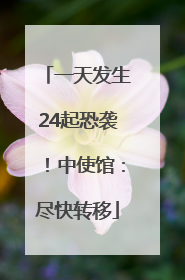 一天发生24起恐袭！中使馆：尽快转移