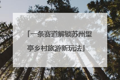 一条赛道解锁苏州望亭乡村旅游新玩法