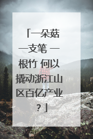 一朵菇 一支笔 一根竹 何以撬动浙江山区百亿产业?