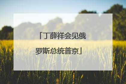 丁薛祥会见俄罗斯总统普京