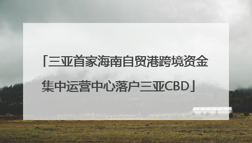 三亚首家海南自贸港跨境资金集中运营中心落户三亚CBD
