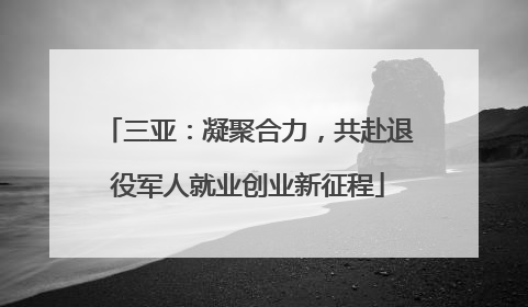 三亚：凝聚合力，共赴退役军人就业创业新征程