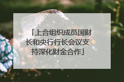 上合组织成员国财长和央行行长会议支持深化财金合作